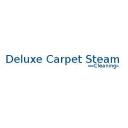 Deluxe Carpet Cleaning Brisbane logo